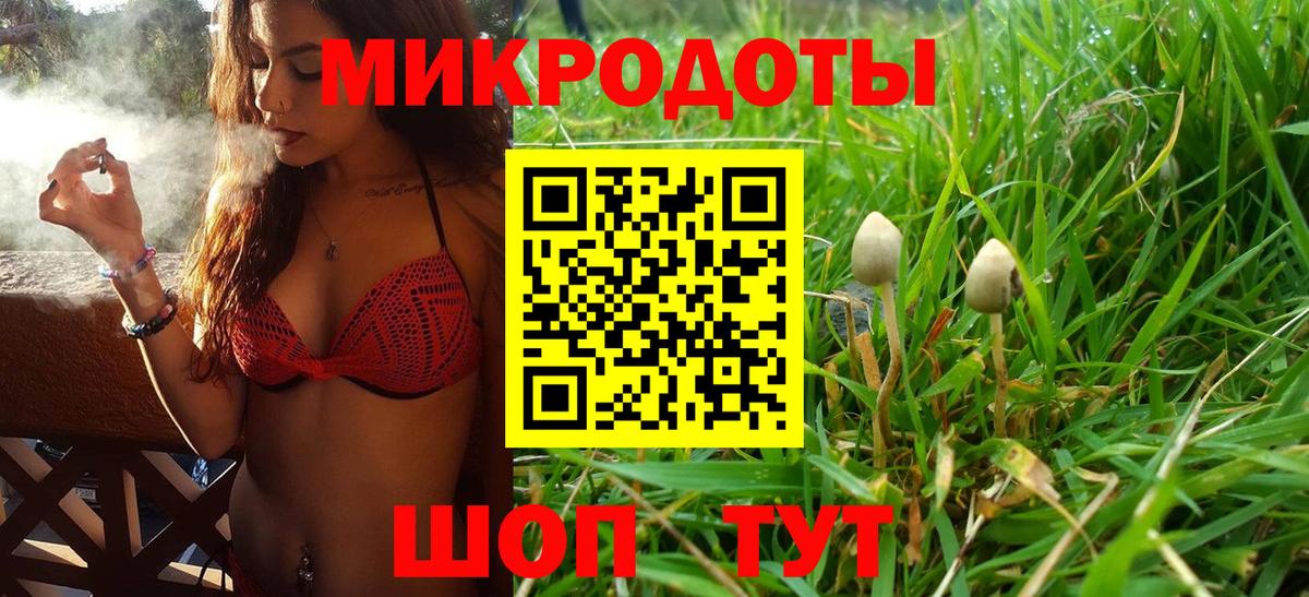 Галлюциногенные грибы Cubensis  Вход с VPN  хочу наркоту  Бутурлиновка  Галлюциногенные грибы мицелий 